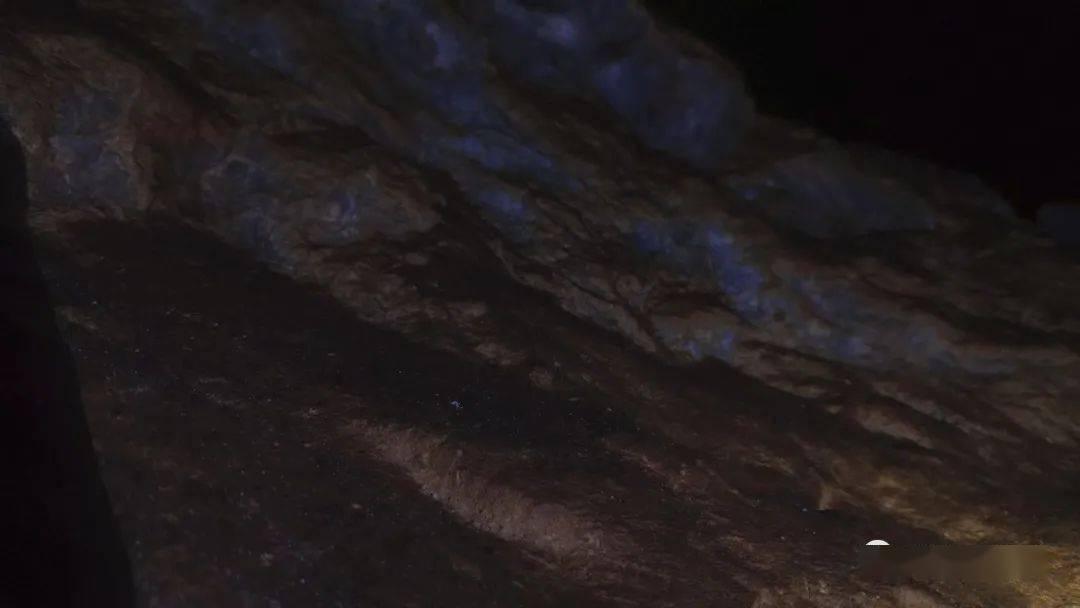 探索知识星球平台,尽览双鱼座是十二星座中最相信爱情的吗?该怎么追求双鱼女?的精彩内容